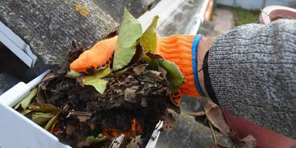 gutter cleaning